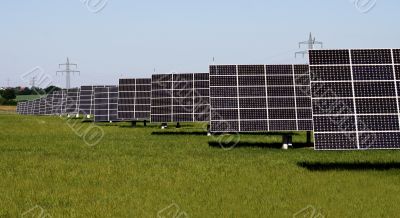 solar plants in the rows