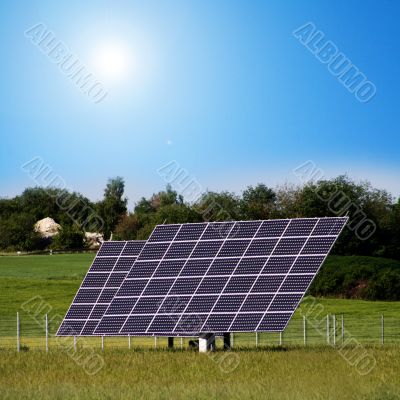 solar plants in the field