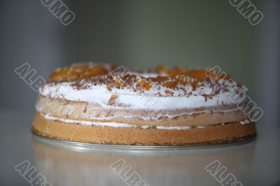 sponge cake 