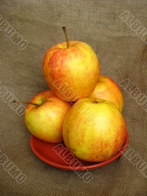 nice apples on the plate