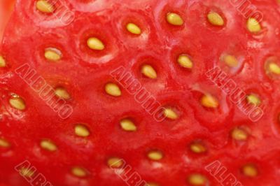 Strawberries - Part of Fruit
