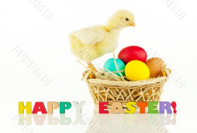 Basket with the Easter eggs and small chicken