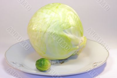 vegetables