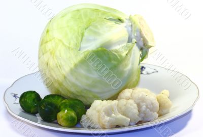 vegetables