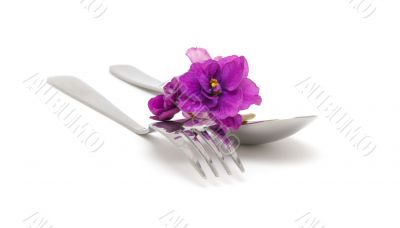 Spoon and fork with violet 