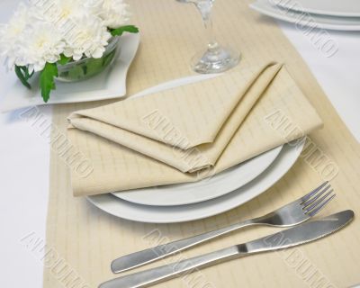 Napkin 