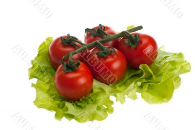 tomatoes, lettuce