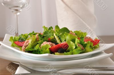 Salad with tuna, vegetables and mint close up