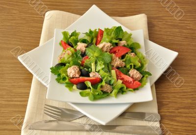 Tuna salad with mint and mixed vegetables 