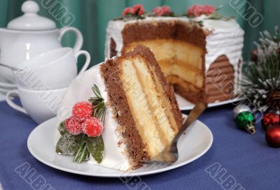 A piece of Christmas cake