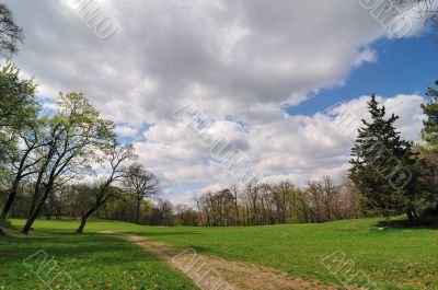Spring in park
