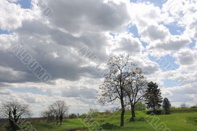 Spring morning
