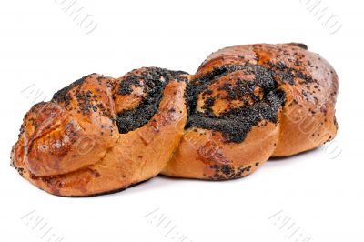 delicious loaf with poppy seeds