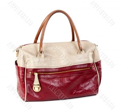 Fashionable women`s bag