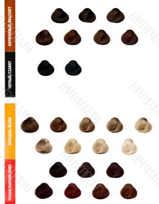 Professional palette of hair colors for color selection