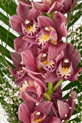 bouquet of purple orchids