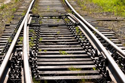 grass between on the railway