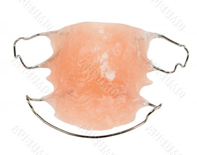 dental plastic plate