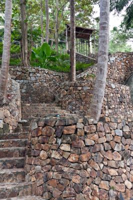 stone staircase in the jungles