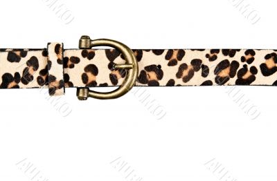 belt with leopard pattern