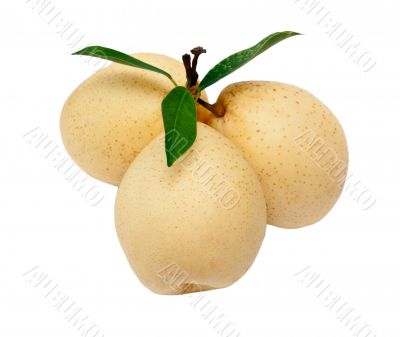 three ripe yellow pear with green leaves