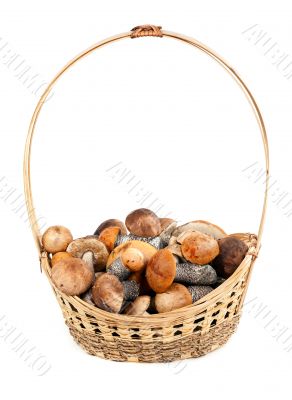 Basket with mushrooms