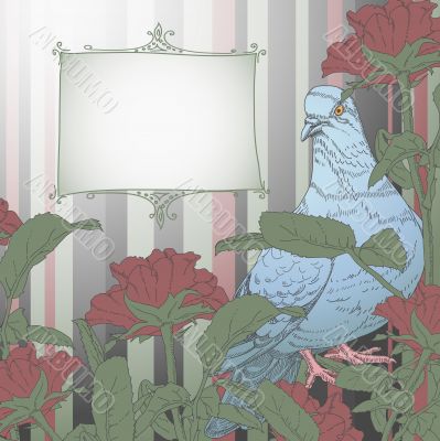 floral background with pigeon