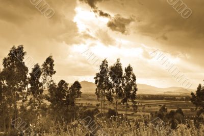 Ethiopian rural landscape
