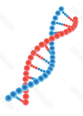 DNA model on white background