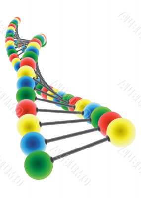 DNA model