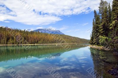 reflection of the nature