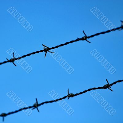 razor wire 