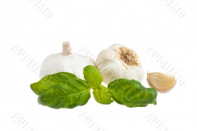 Garlic, basil.