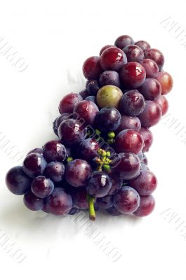 Grape fruits
