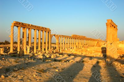 Relics of Palmyra in Syria