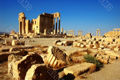 Relics of Palmyra in Syria