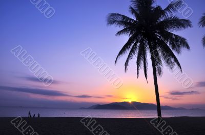 Landscape on beach