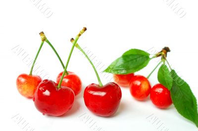 Cherry fruits