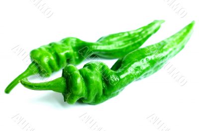 Green pepper