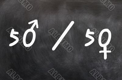 Gender equal opportunity or representation