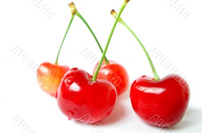 Red cherry fruits on a white background