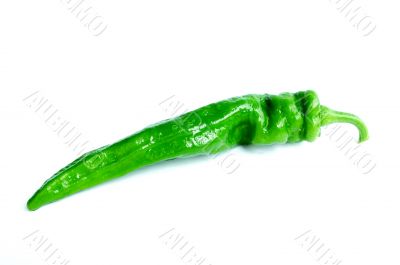 Green pepper