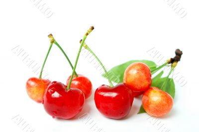 Red cherry fruits on a white background