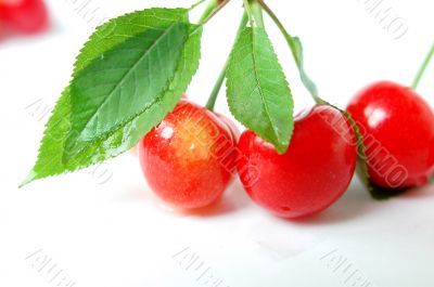 Cherry fruits