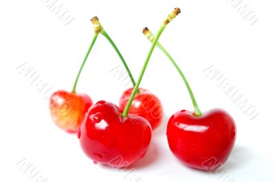 Cherry fruits