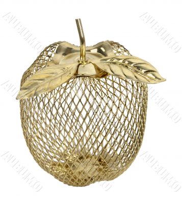 Wire Frame Golden Apple