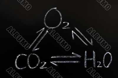 Interaction of oxygen,carbon dioxide and water