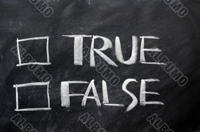 True and false check boxes