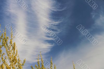 clouds