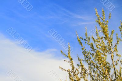 clouds